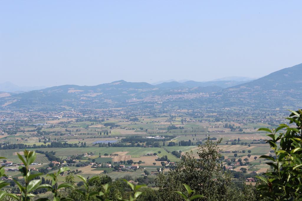 הוילה Cannara Societa Agricola F.Lli Angelucci מראה חיצוני תמונה